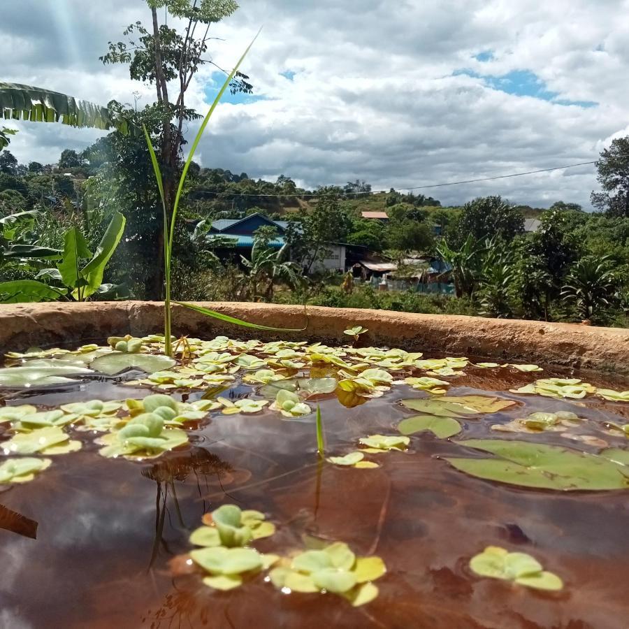 Ratanak Tep Rithea Homestay Banlung 外观 照片