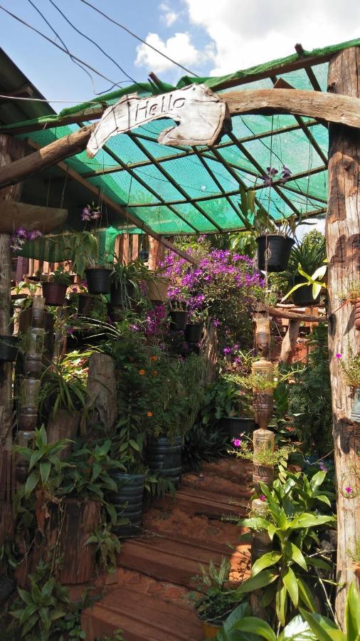 Ratanak Tep Rithea Homestay Banlung 外观 照片